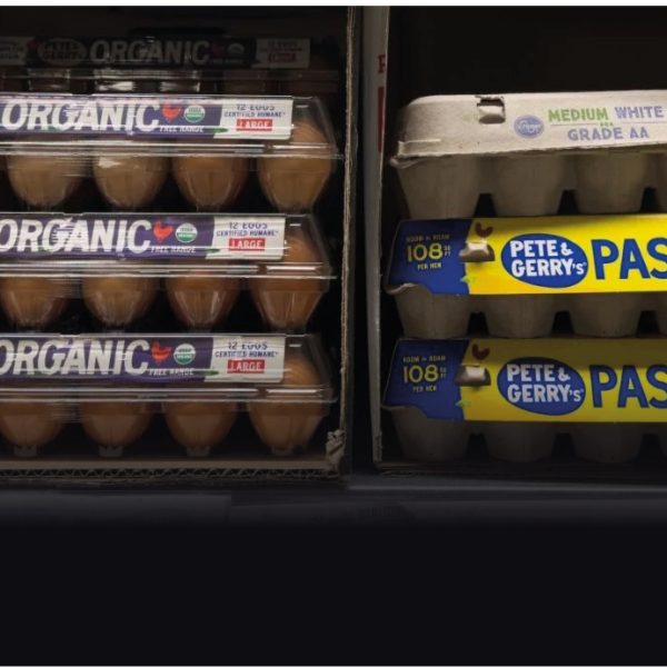 Precio de la docena de huevos rompe récord en Estados Unidos
